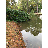 York/Poquoson King Tide image